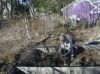 compost.JPG