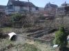 garden.JPG