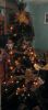 tree1.JPG